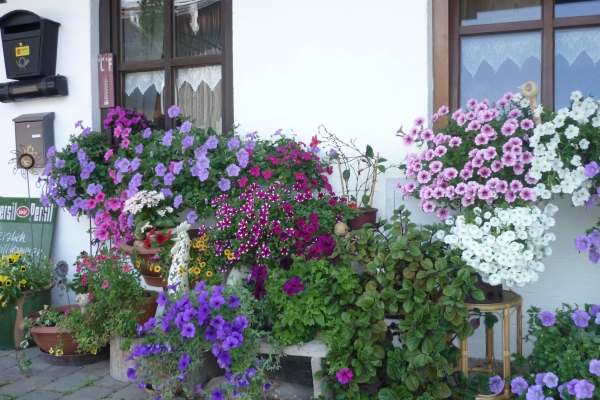 Hotel Blankhof Garni